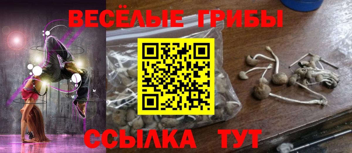 Верхний Уфалей  Галлюциногенные грибы GOLDEN TEACHER  Вход с VPN 