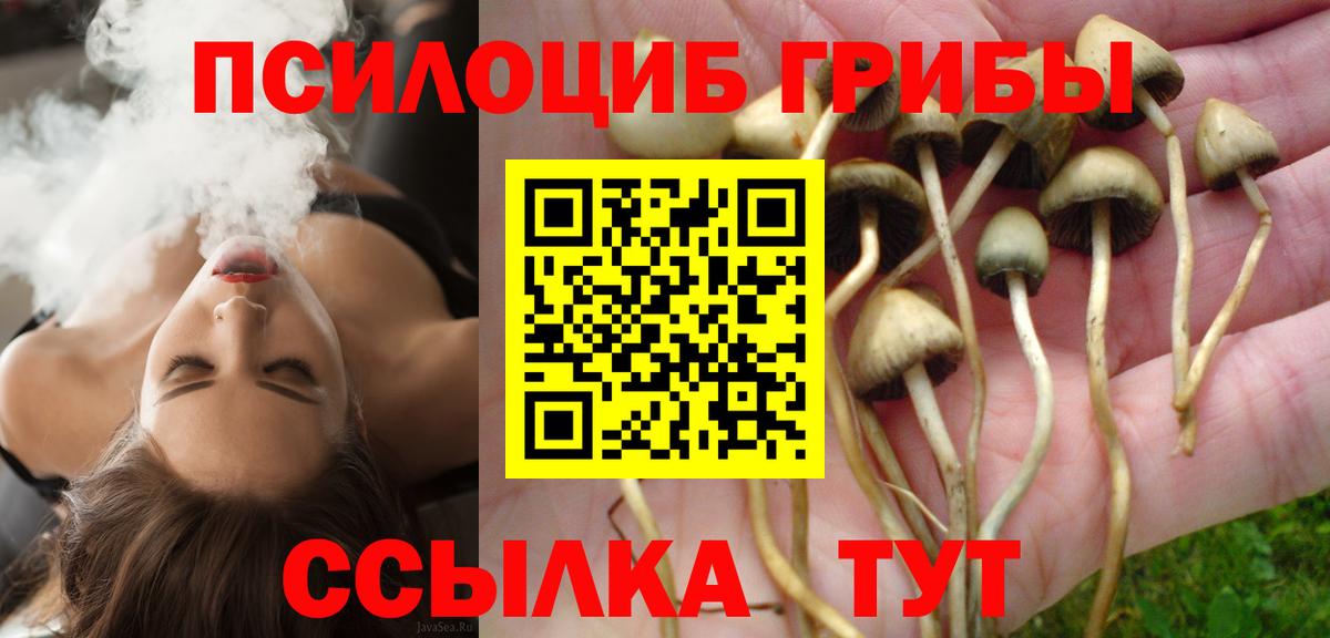 Псилоцибиновые грибы мицелий Верхний Уфалей